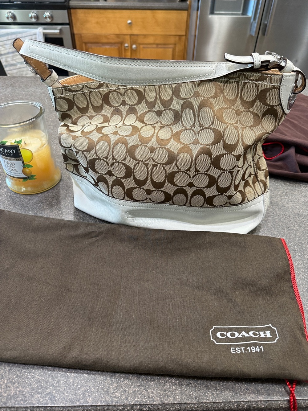 Y2K Coach Signature Canvas Hobo Bag in Brown and White